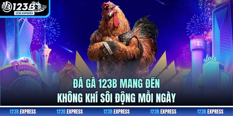 Đá gà 123B mang đến không khí sôi động mỗi ngày